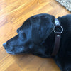 ‘O’ ring collar